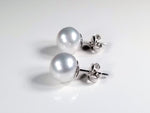AAA+ Quality Genuine South Sea 10 MM Size Cream Studs in Solid 14Kt White Gold