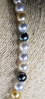 Beautiful Strand of South Sea Pearls in Multi Color with Studs in Solid White Go