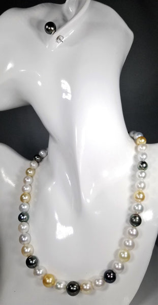 Beautiful Strand of South Sea Pearls in Multi Color with Studs in Solid White Go