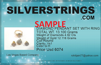 Diamond Earrings in Solid 14KT White Gold